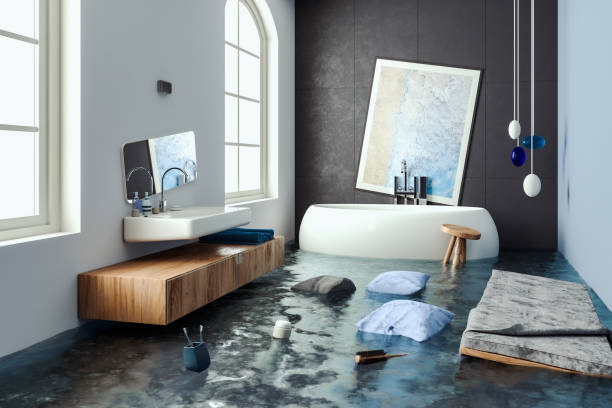 Best Mold removal after water damage  in Friona, TX