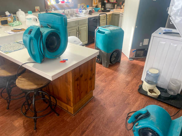 Best Water damage cleanup near me  in Friona, TX