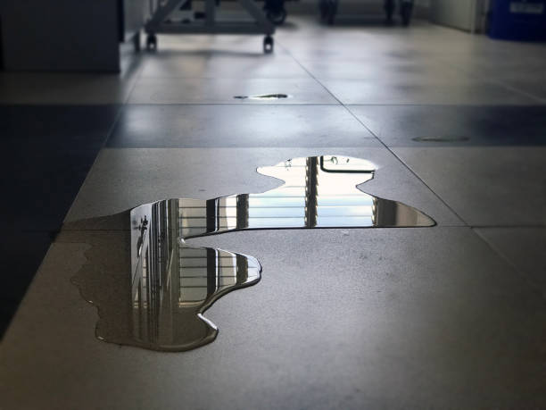 Best 24/7 water damage repair  in Friona, TX