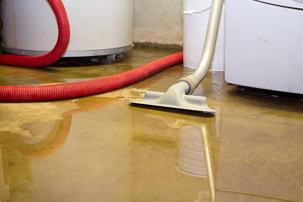 Best 24-hour water damage restoration  in Friona, TX