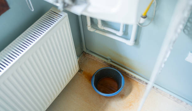 Best Water damage mitigation services  in Friona, TX