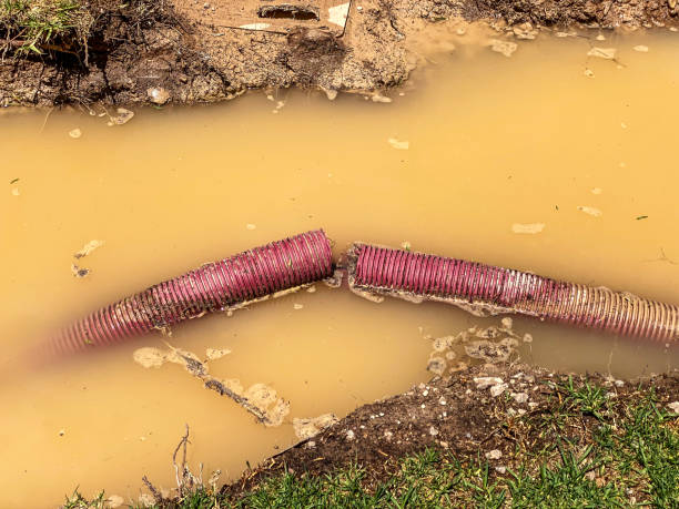  Friona, TX Water damage restoration Pros